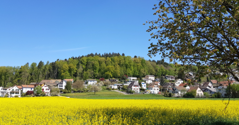 bulletin-gemeinderat-oftringen.png